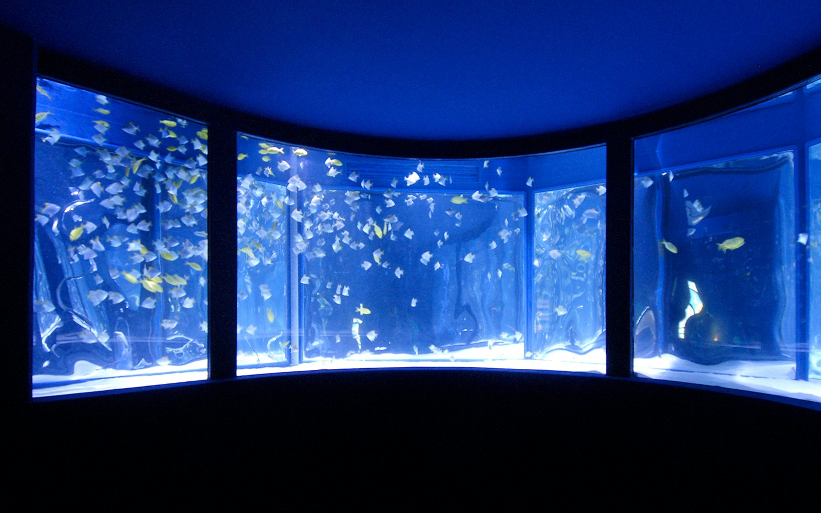 Ring-shaped tank at Gardaland SeaLife