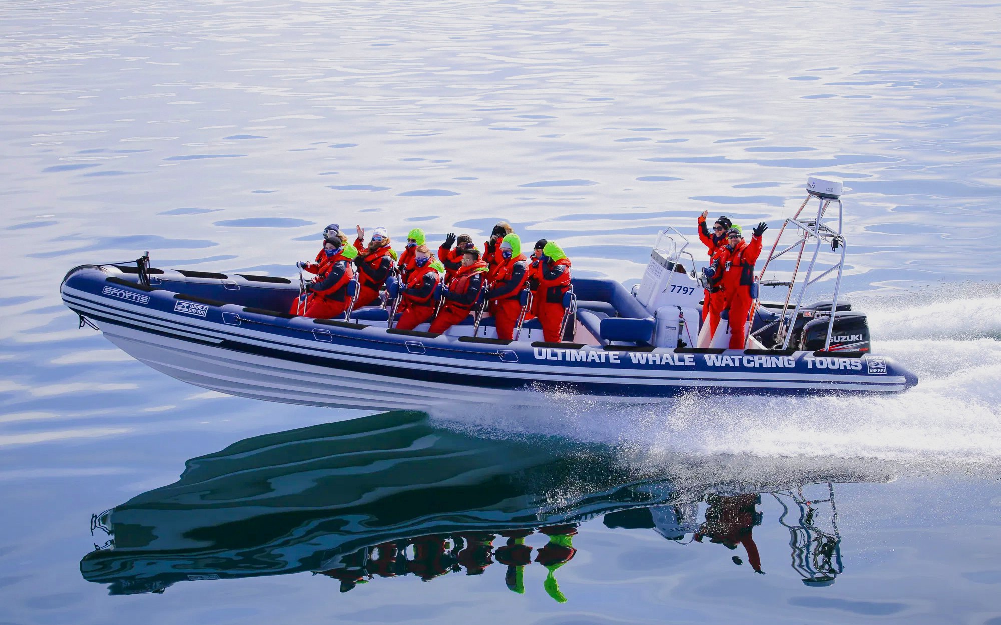 Guests on RIB speedboat during whale watching and puffin tour from Reykjavik.