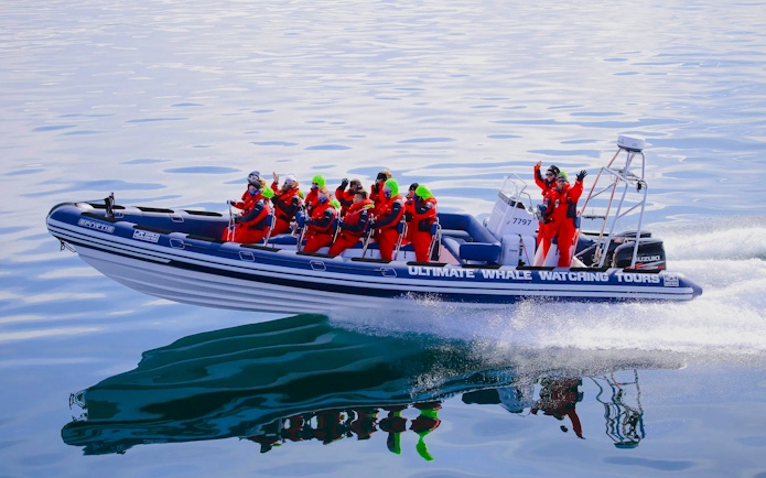 Guests on RIB speedboat during whale watching and puffin tour from Reykjavik.