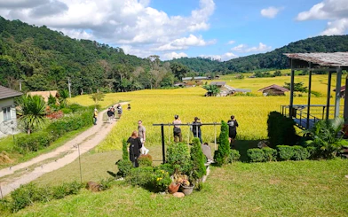 From Chiang Mai: Doi Inthanon National Park Private Tour