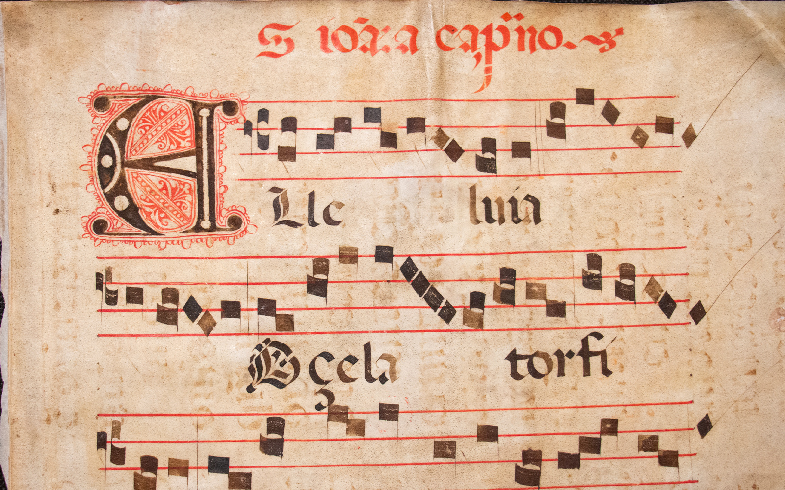 Chateau de Chantilly Medieval manuscript