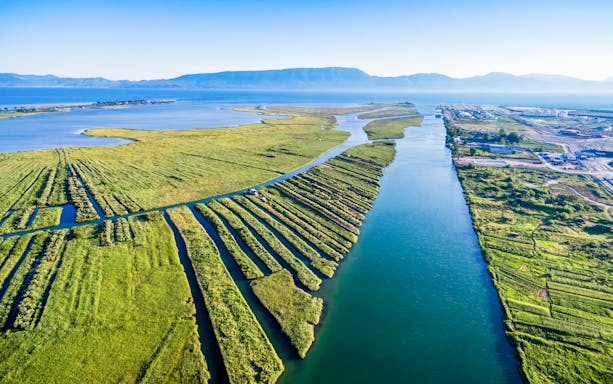 Aerial view of the Neretva River Delta's lush green wetlands in Croatia.