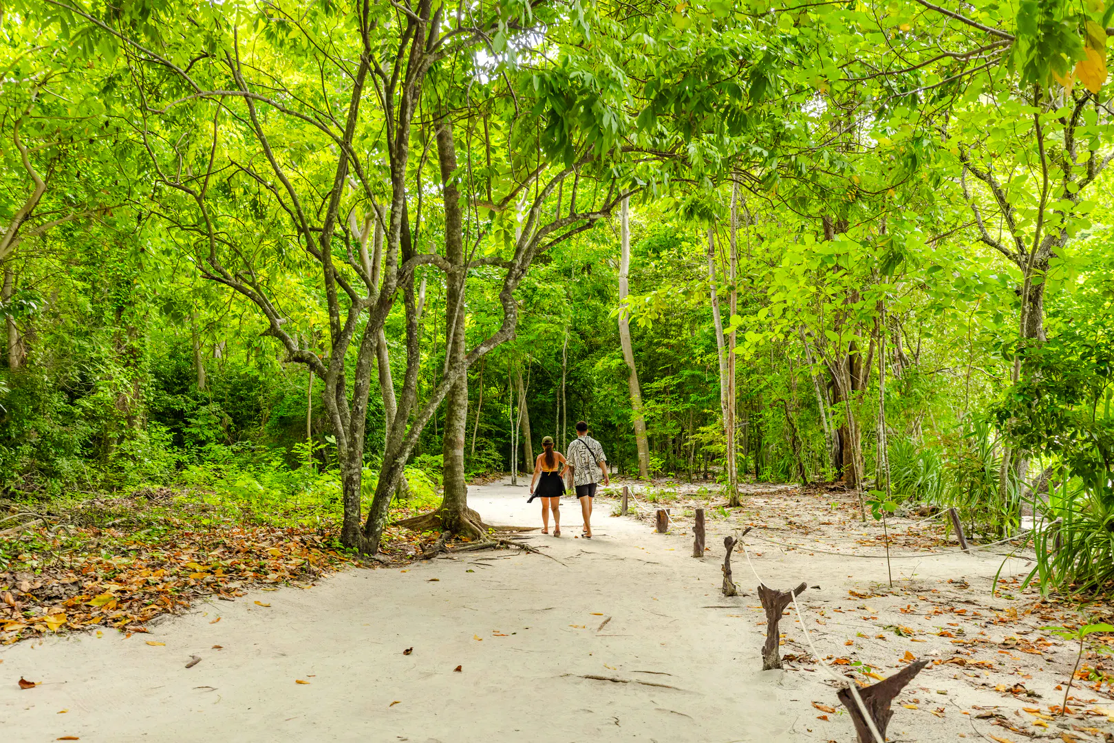 from krabi: hong island 360° viewpoint tour by speed catamaran with hotel transfers and lunch-7