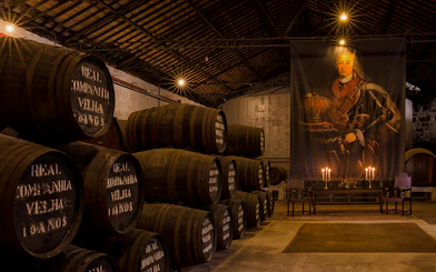 Real Companhia Velha: Guided Cellar Tour with Port Wine Tasting