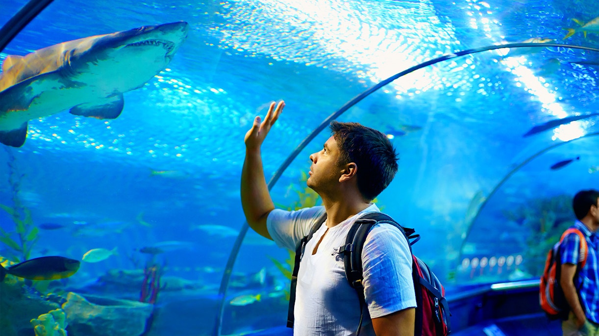 Opening hours - Langkawi Underwater World