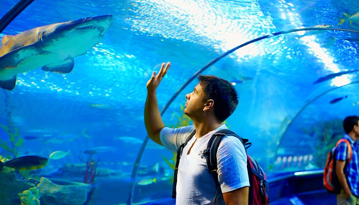 Underwater tunnel in Atlantis Aquarium