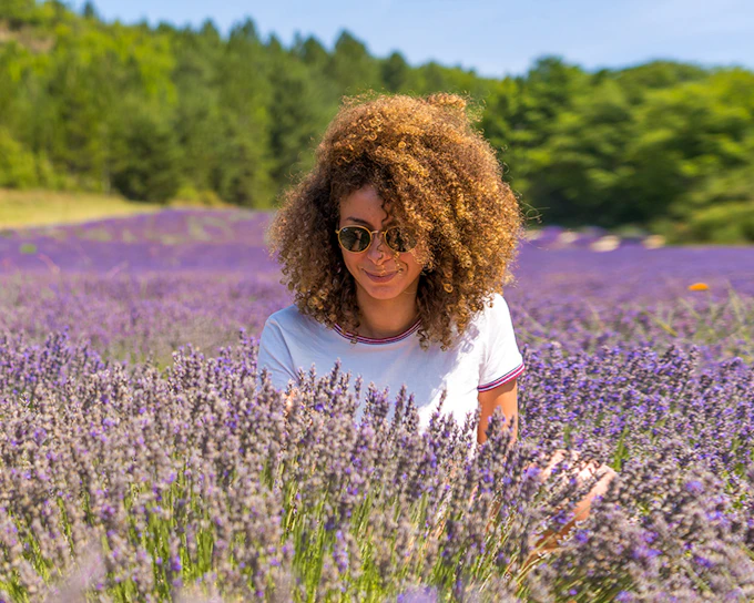 From Avignon: Lavender Fields Tour