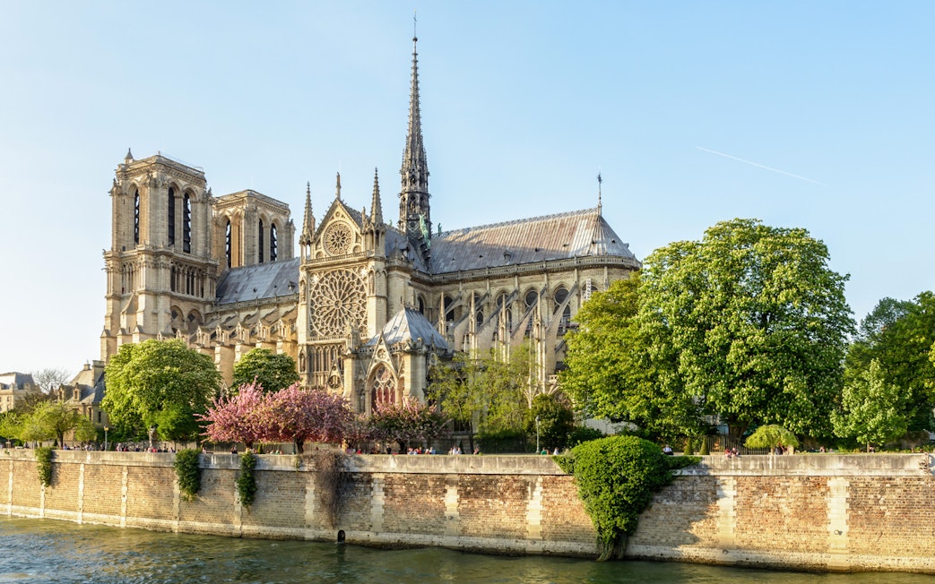 Notre Dame Cathedral exterior with trees along the Seine River in Paris.