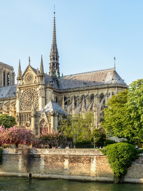 Notre Dame Cathedral exterior with trees along the Seine River in Paris.