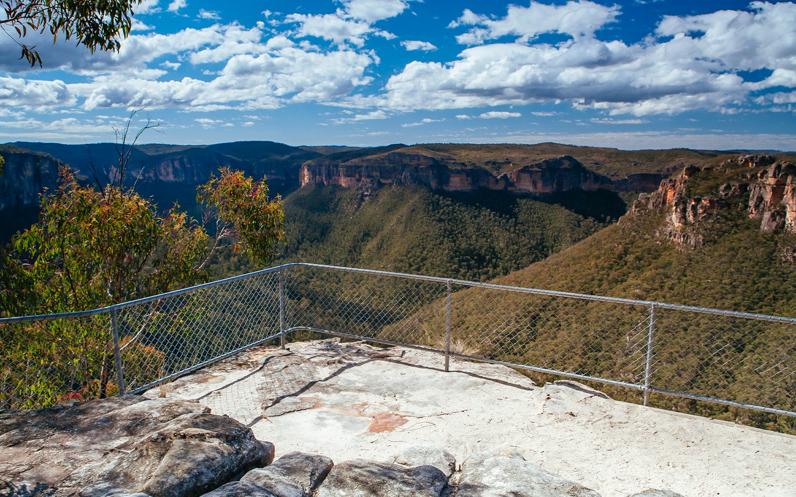 Evans Lookout