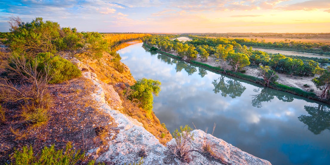 Murray River Cruises