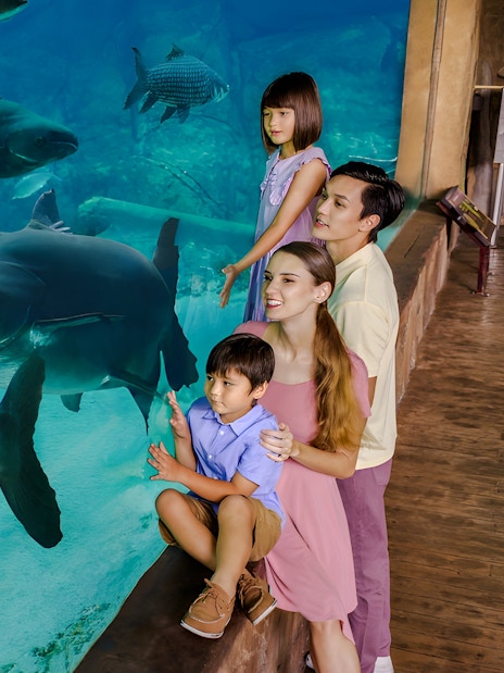 Family observing large fish at Mandai Wildlife Group aquarium.