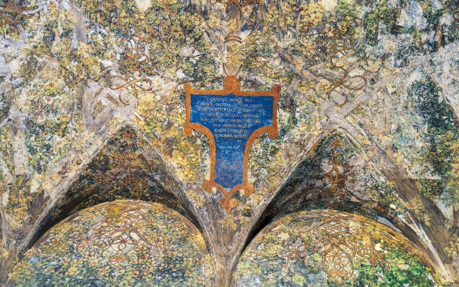 Ceiling fresco of Sala delle Asse in Sforza Castle, Milan, featuring intricate foliage and a central blue cartouche.