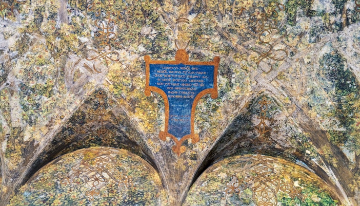 The Sala delle Asse