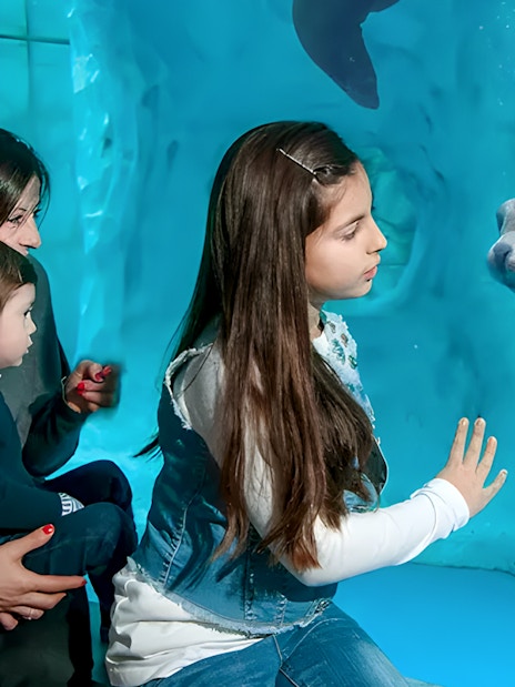 Child interacting with seals at Gardaland Park aquarium.