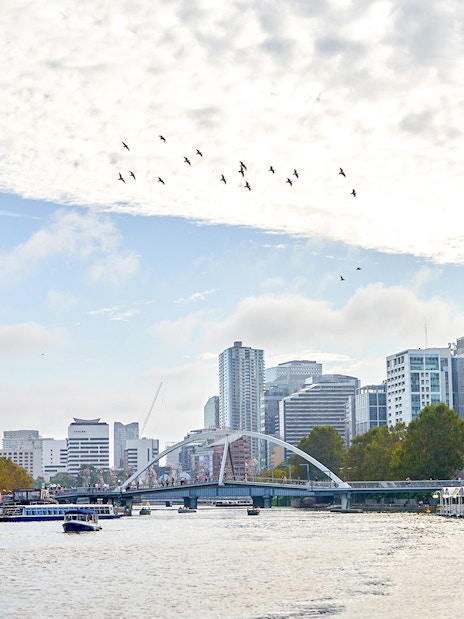 Melbourne skyline with boats on Yarra River during a river cruise.