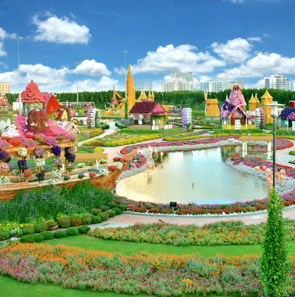 Top photo spots in Dubai Miracle Garden