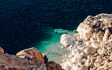 Dead Sea salt formations and turquoise water on Amman to Petra tour.