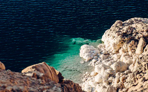 Dead Sea salt formations and turquoise water on Amman to Petra tour.