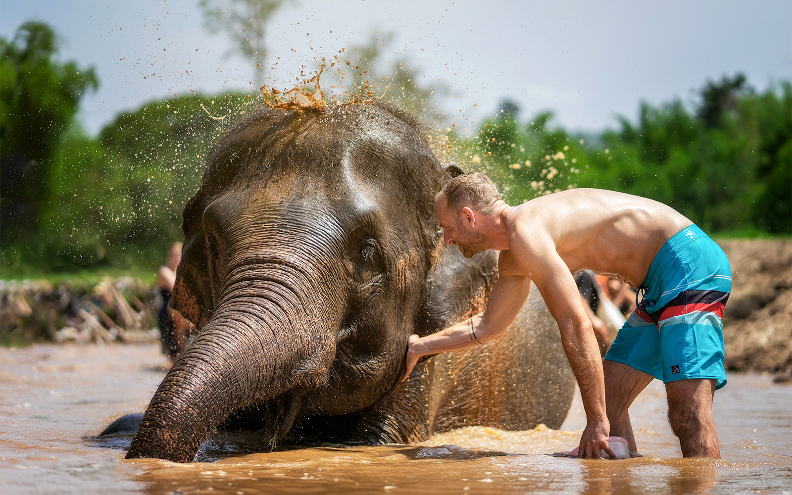 Lera spa med elefanter