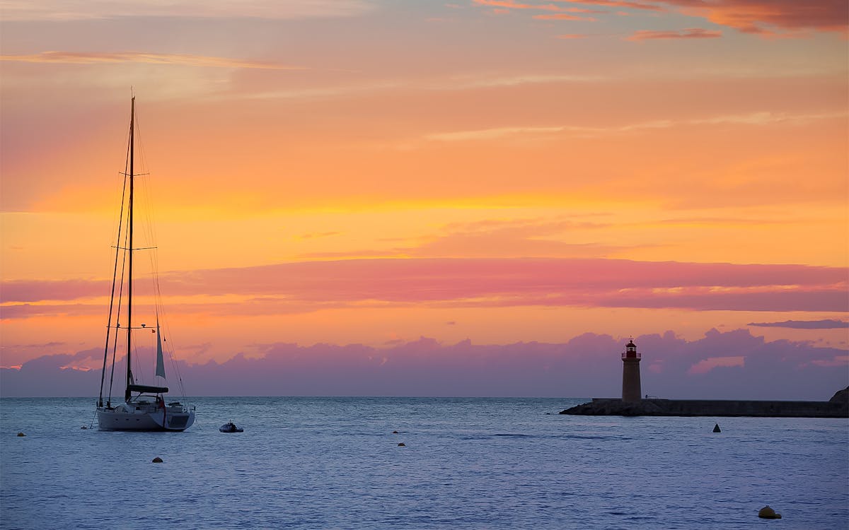 full-day private guided cruise in ria formosa-7 full-day private guided cruise in ria formosa-7