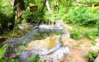 fra chiang mai: tur til sticky-fossen med privat sjåfør-4