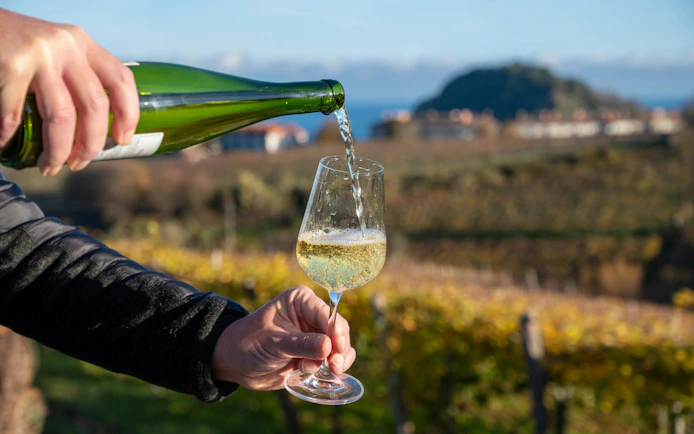 Pouring txakoli wine in Getaria vineyard, Basque Country, Spain.