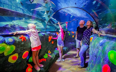 Kids observing sharks and fish in tunnel at Sea Life Aquarium, Verona.