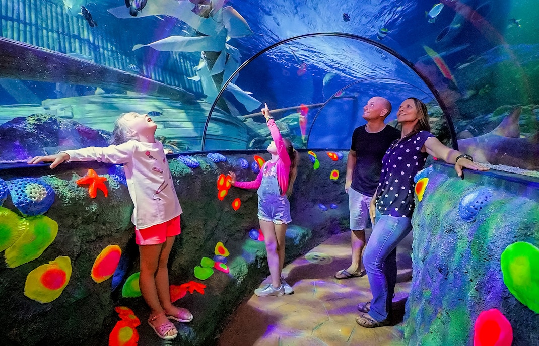 Kids amazed by looking at sharks and fishes at Sea Life Aquarium, Verona