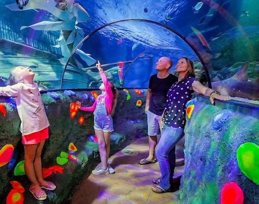 aquarium access