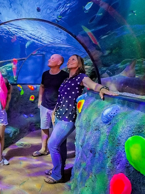 Kids observing sharks and fish in tunnel at Sea Life Aquarium, Verona.
