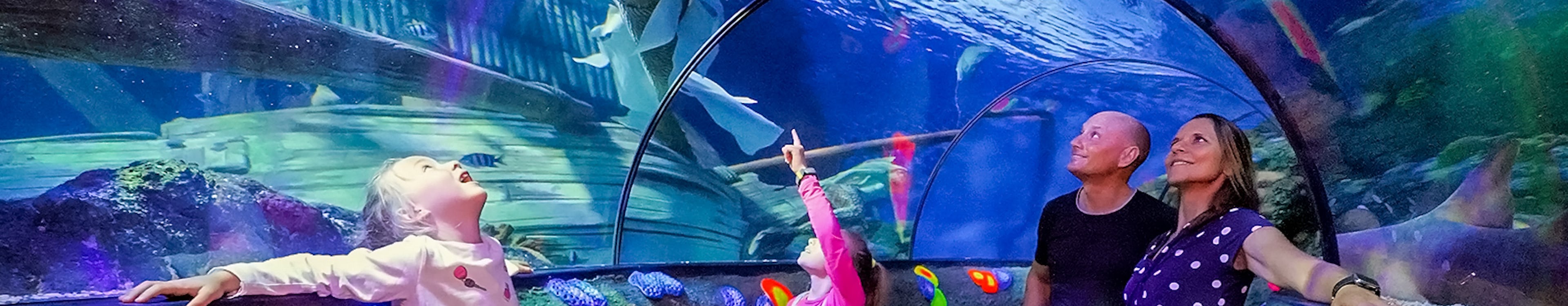 The Ocean Tunnel