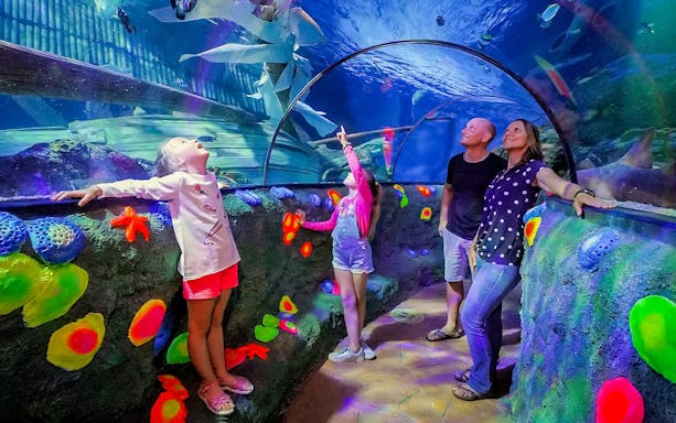 Kids observing sharks and fish in tunnel at Sea Life Aquarium, Verona.