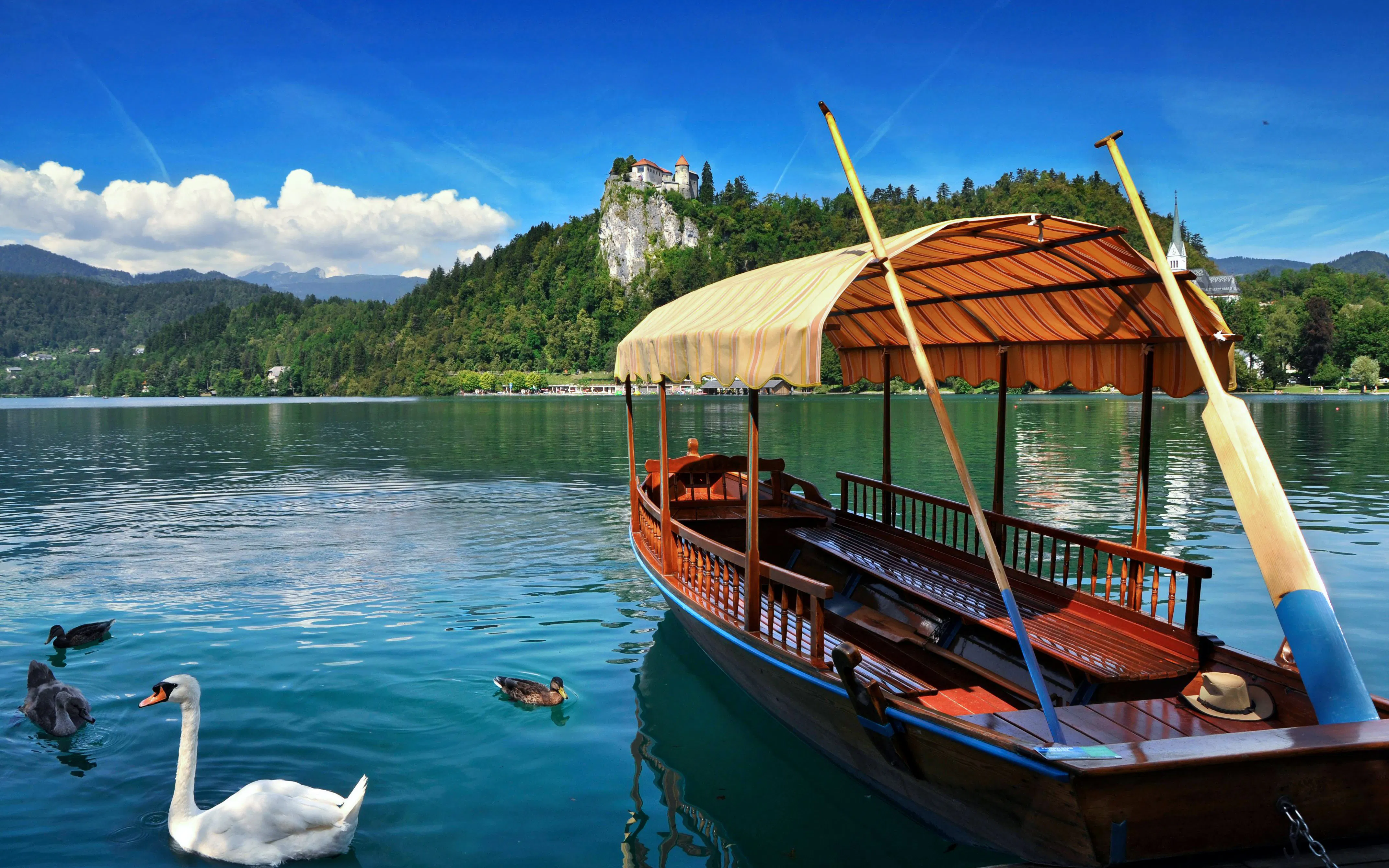 Traditional Pletna boat on Lake Bled, Slovenia, with swans and Bled Castle on the cliff.