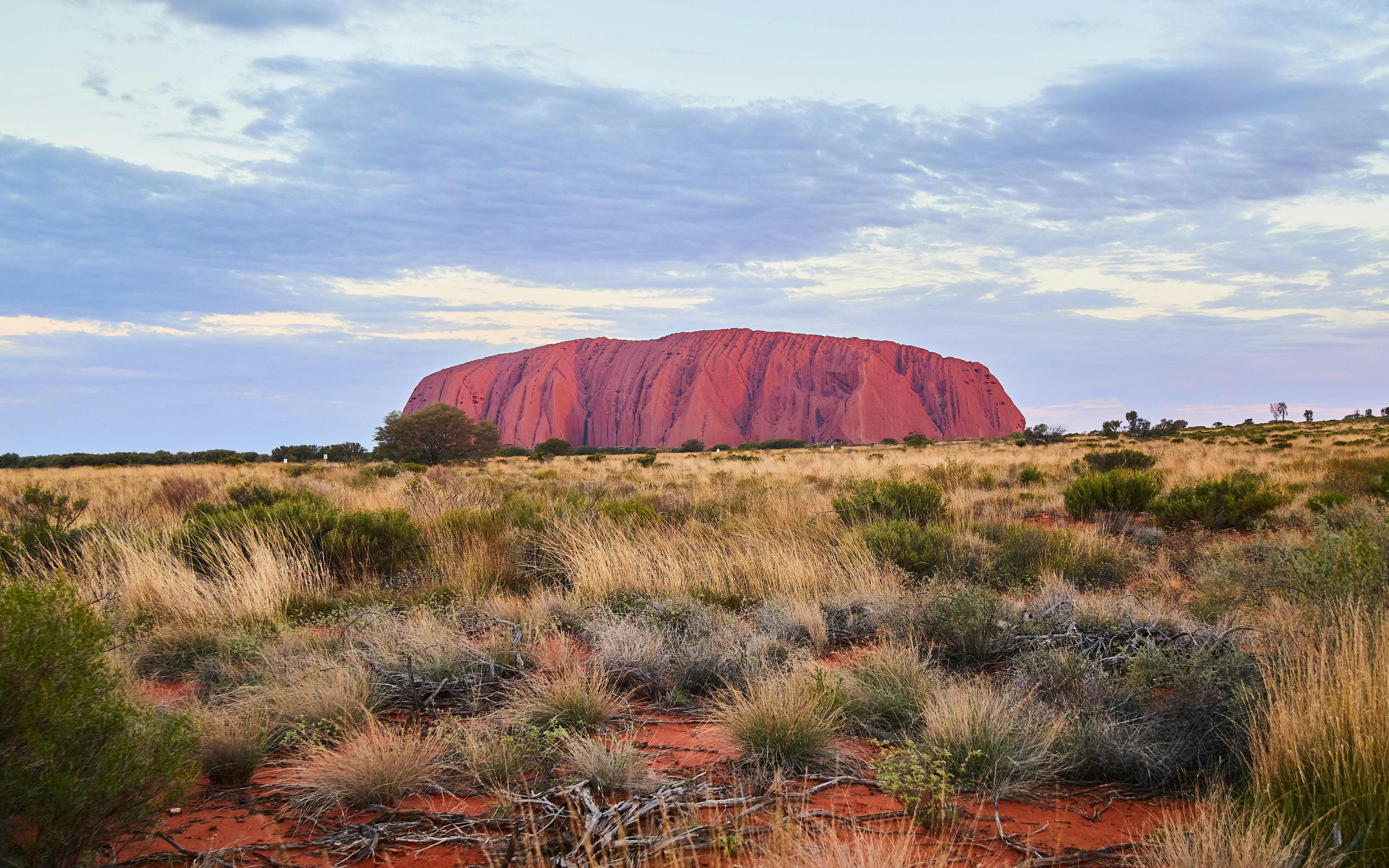 Uluru at sunset with surrounding grassland, Australia.
