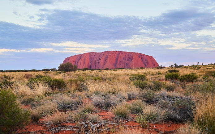 Uluru at sunset with surrounding grassland, Australia.