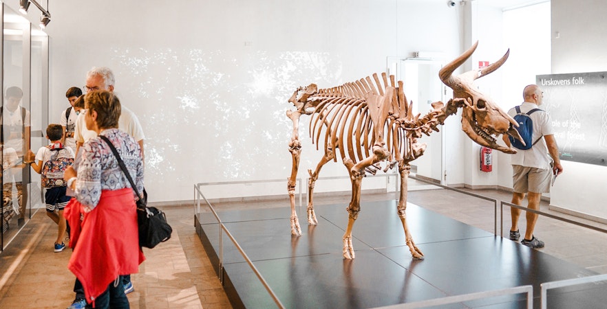 Viking artifacts display inside The National Museum of Denmark, Copenhagen.