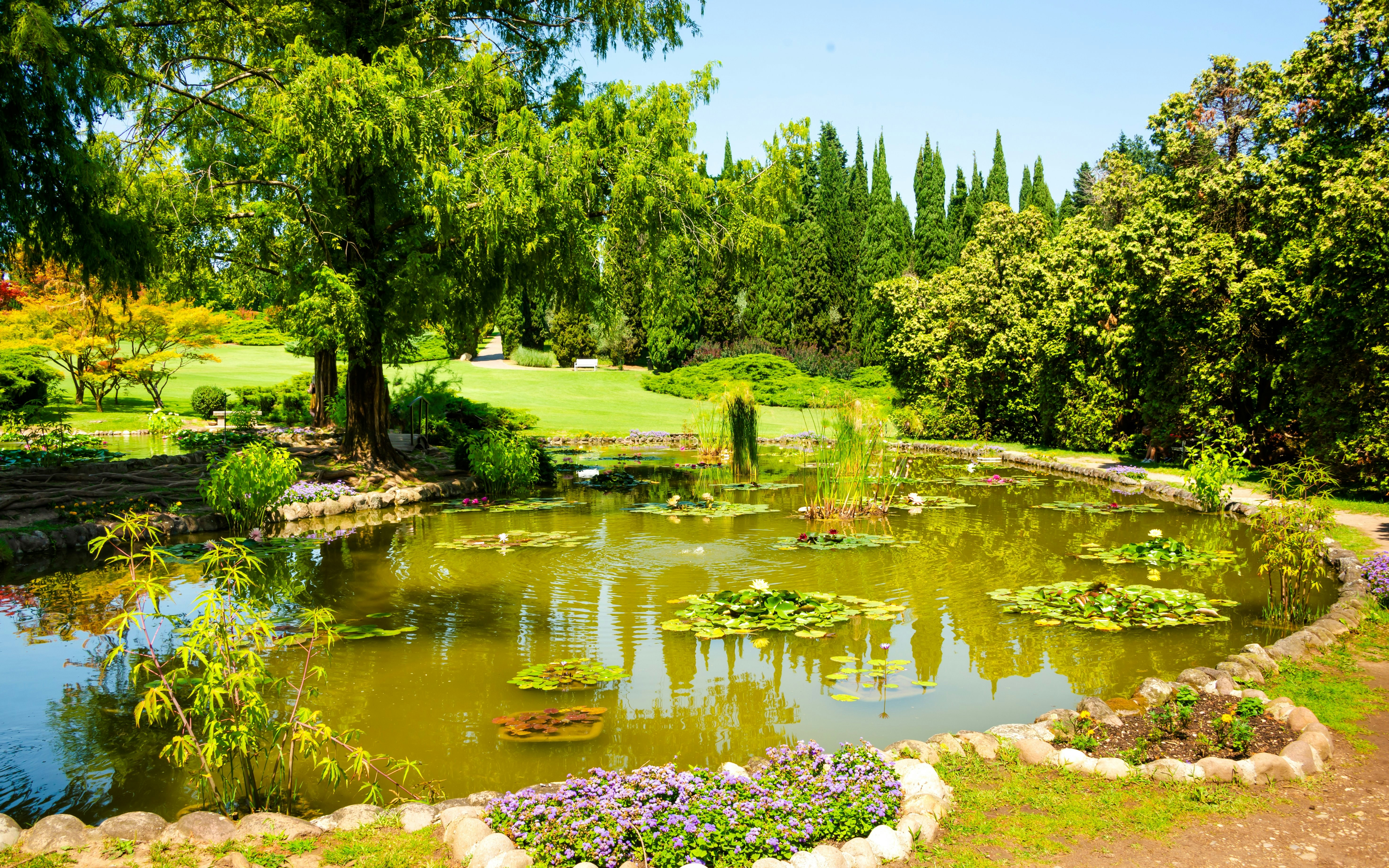 Pond with lily pads and surrounding greenery at Il Cimitero dei Cani, Sigurta Park.