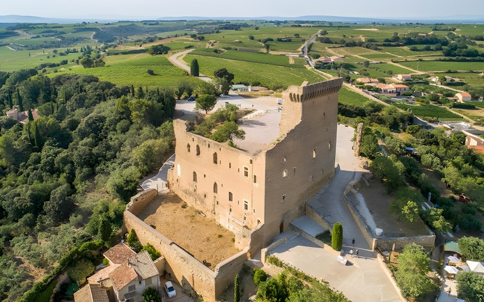 Aerial view of Châteauneuf-du-Pape castle ruins surrounded by vineyards in Avignon, France.