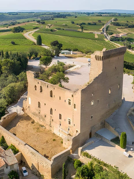 Aerial view of Châteauneuf-du-Pape castle ruins surrounded by vineyards in Avignon, France.