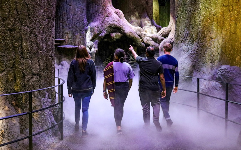 Visitors walking through the Forbidden Forest set at Warner Bros. Studio London.