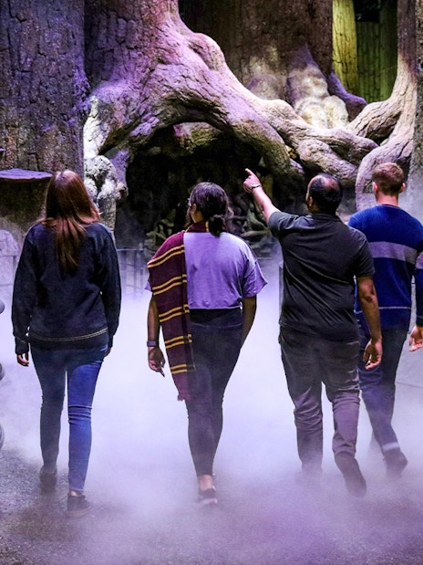 Visitors walking through the Forbidden Forest set at Warner Bros. Studio London.