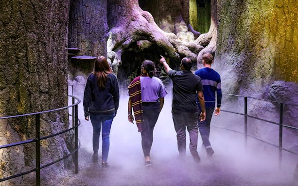 Visitors walking through the Forbidden Forest set at Warner Bros. Studio London.