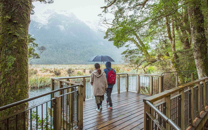 Couple walking on a boardwalk in Milford Sound, New Zealand, surrounded by lush forest.