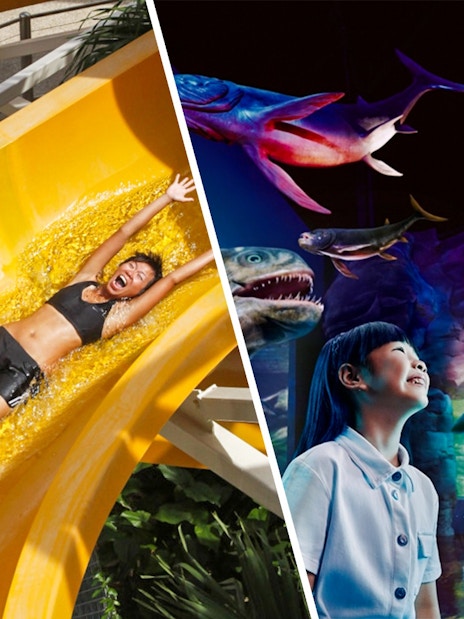 Visitors enjoying water slide and marine life exhibit at Singapore Oceanarium.