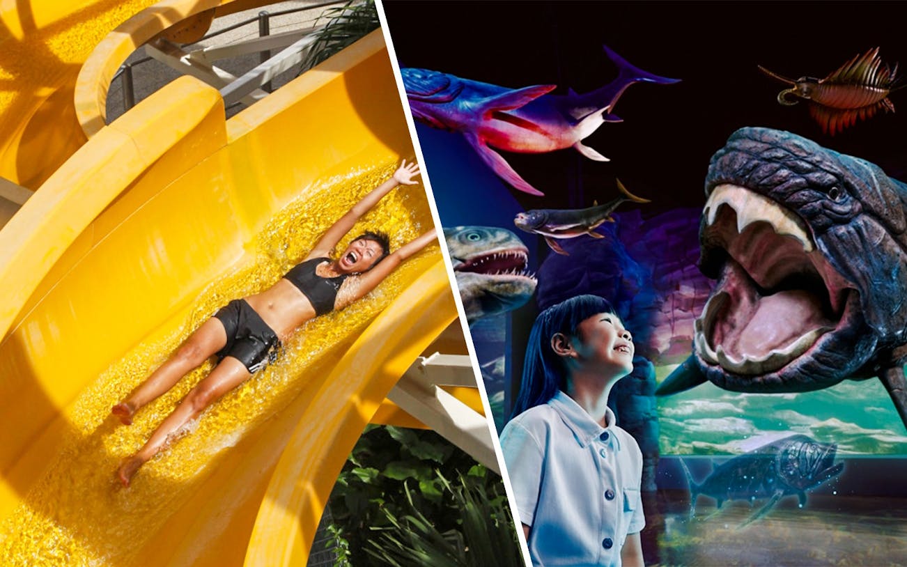 Visitors enjoying water slide and marine life exhibit at Singapore Oceanarium.