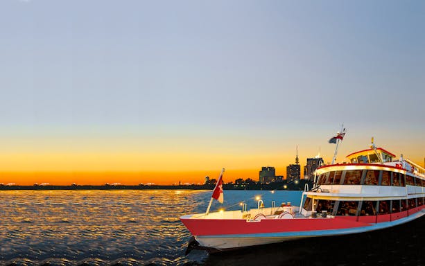Cruise ship on the Danube River at sunset with city skyline in the background.