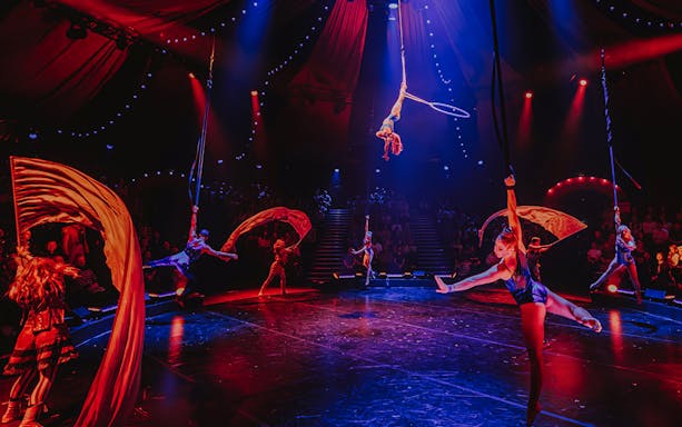 Aerial performers and acrobats in a vibrant circus show under colorful lights.