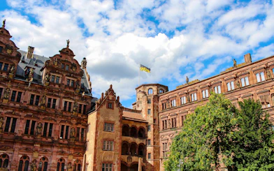 Heidelberg Old Town Private Walking Tour with Castle Entry