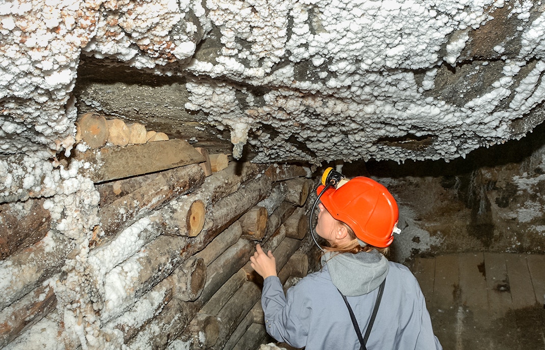 Mine de sel Cracovie, entrées